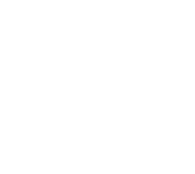 Icon Outline Transparent White Key